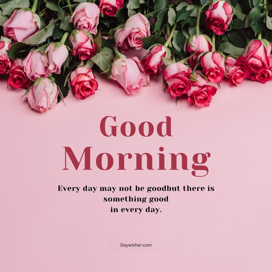 Pink background with "special good morning" text and an inspirational quote, surrounded by multiple pink roses at the top.