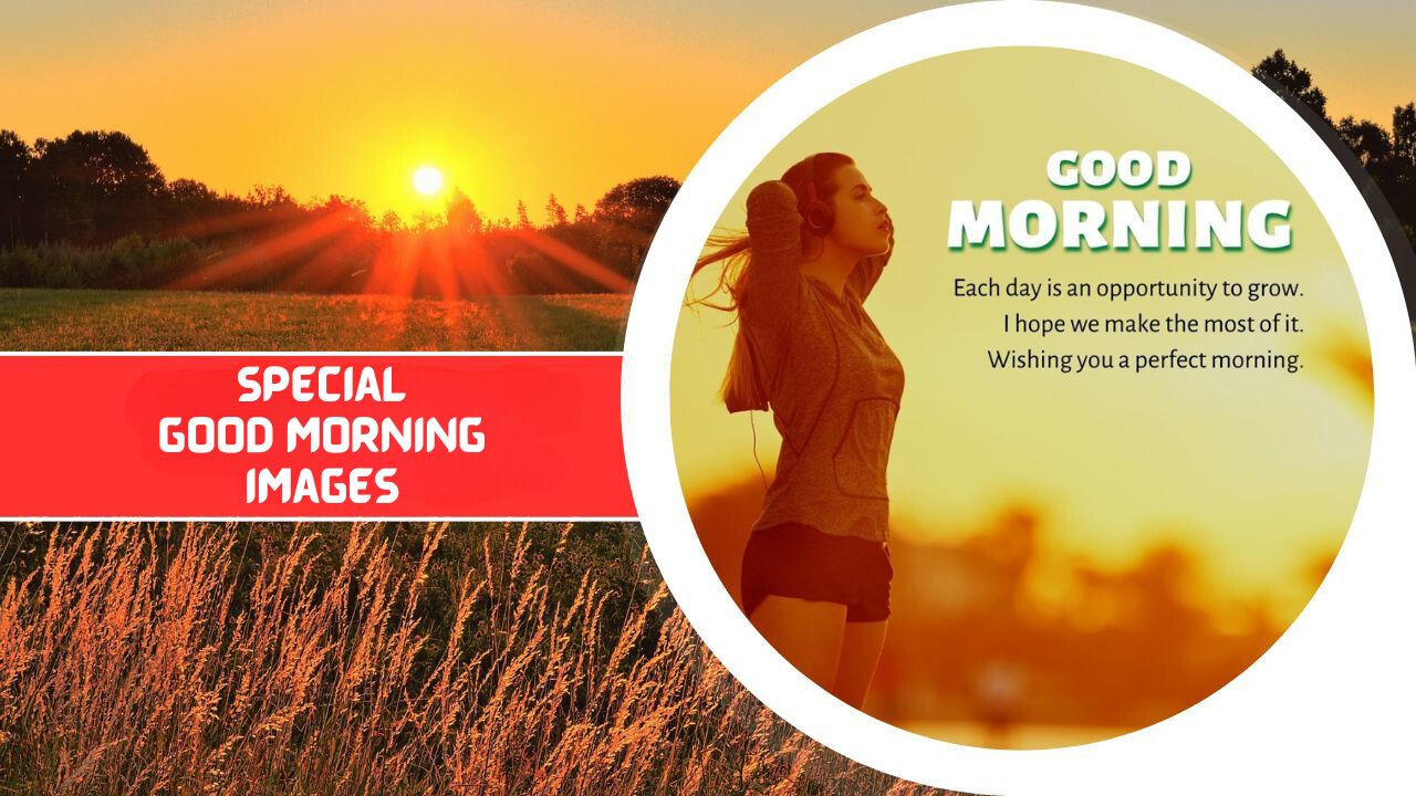 A special "good morning" image featuring a split design; on the left, a sunrise over a golden field, and on the right, a young woman in a contemplative pose with a quote about