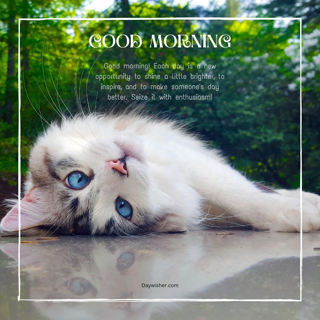 A cute blue-eyed kitten lying on its back on a pathway with lush greenery in the background. The overlaid text says "Good morning! Each day is a new opportunity to shine a little brighter