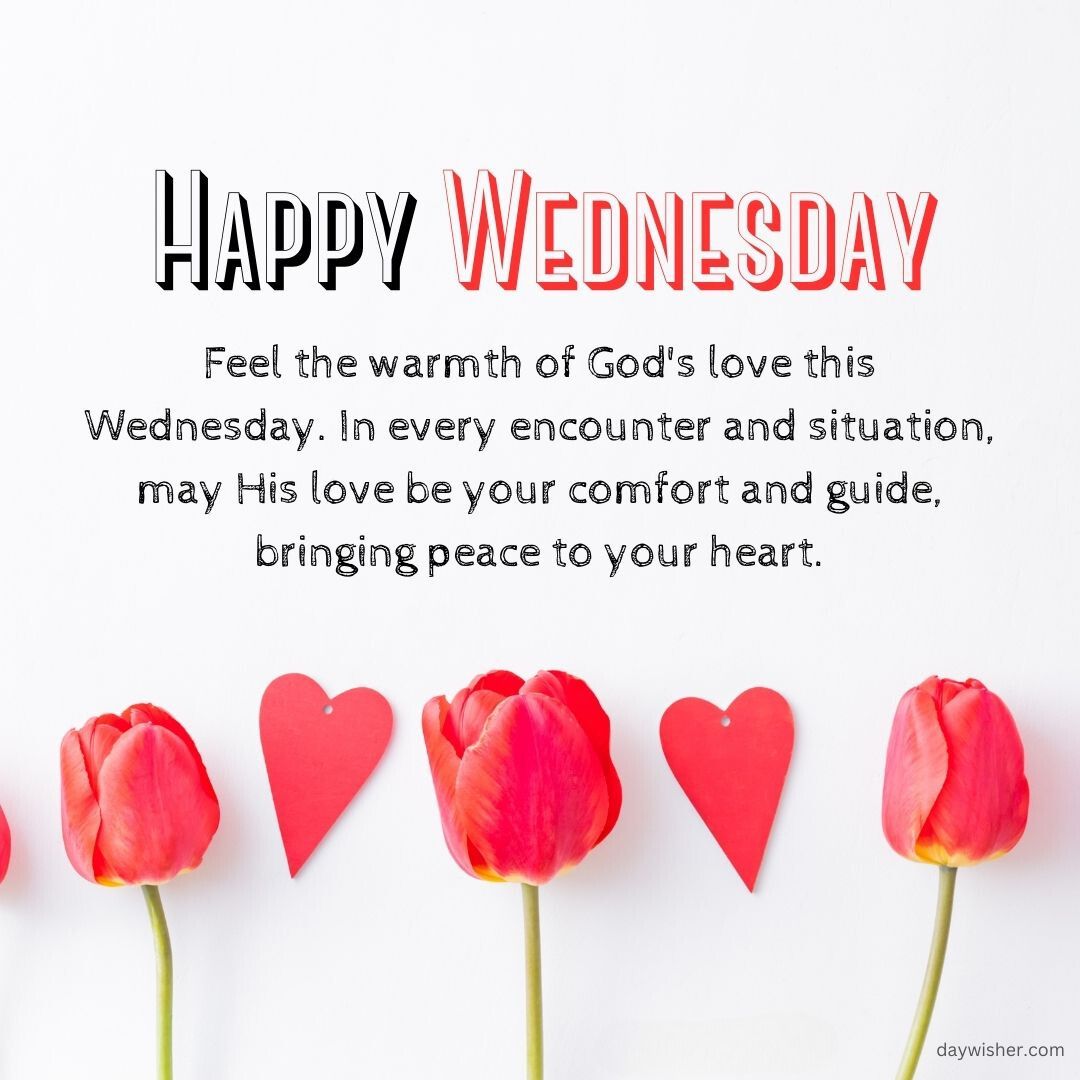 Inspirational Wednesday Blessings greeting with a text message about God's comfort and love on a clean white background, accompanied by a row of red tulips at the bottom.