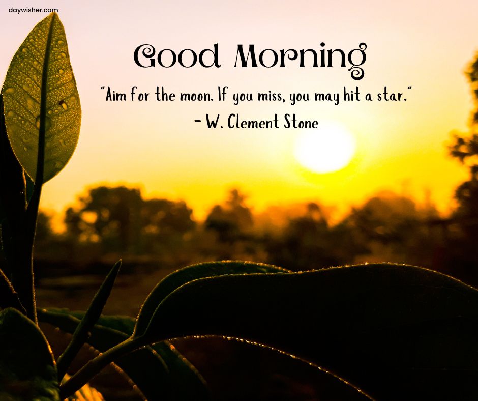 Sunrise scene with a silhouette of tree branches and leaves in the foreground and a bright sun in the background. Text overlay reads: "Good Morning - Aim for the moon. If you miss, you