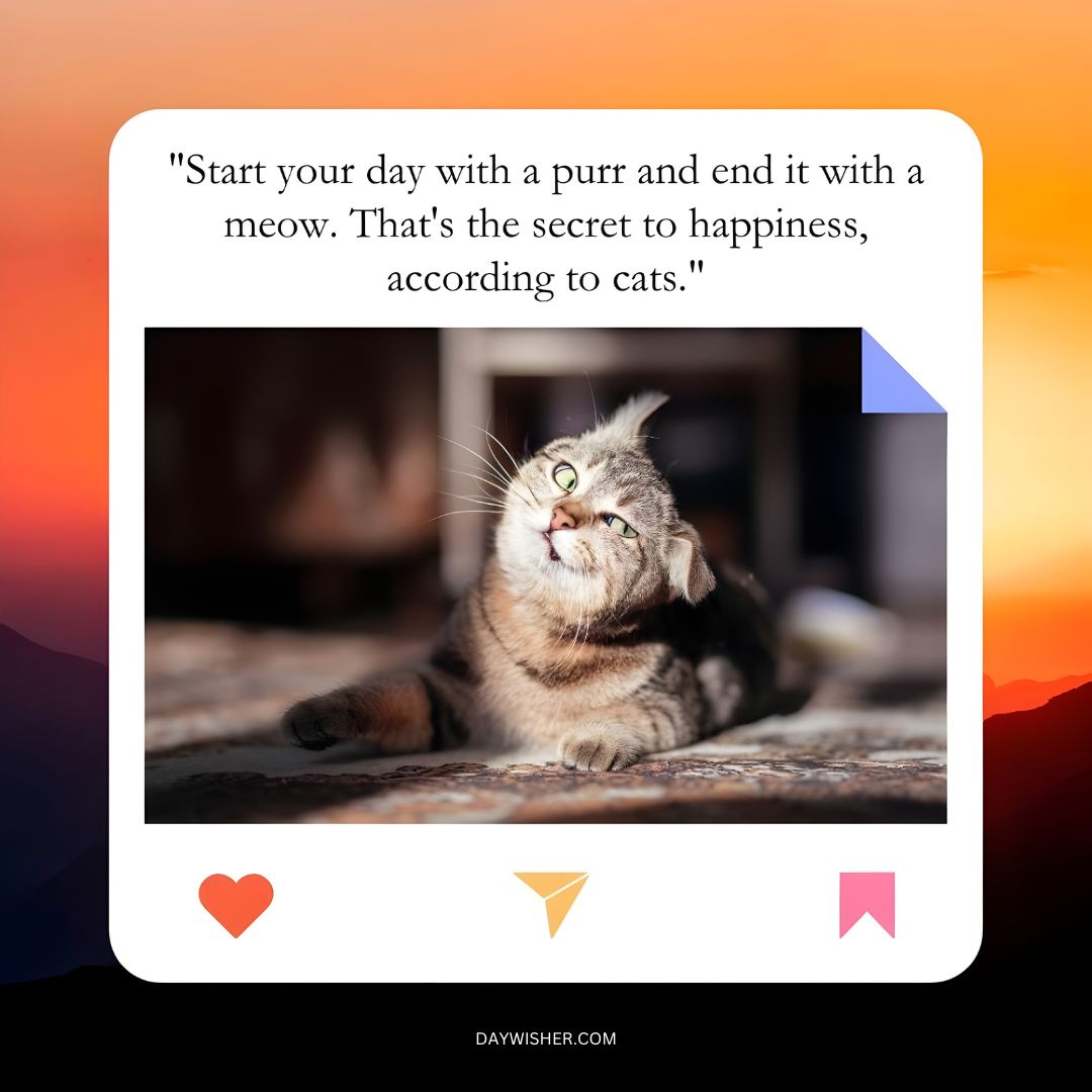 A cat enjoys a sunny spot while lying on its back, with one paw playfully tilted upwards, set against a warm, glowing background with a "Good Morning" quote about happiness and cats.