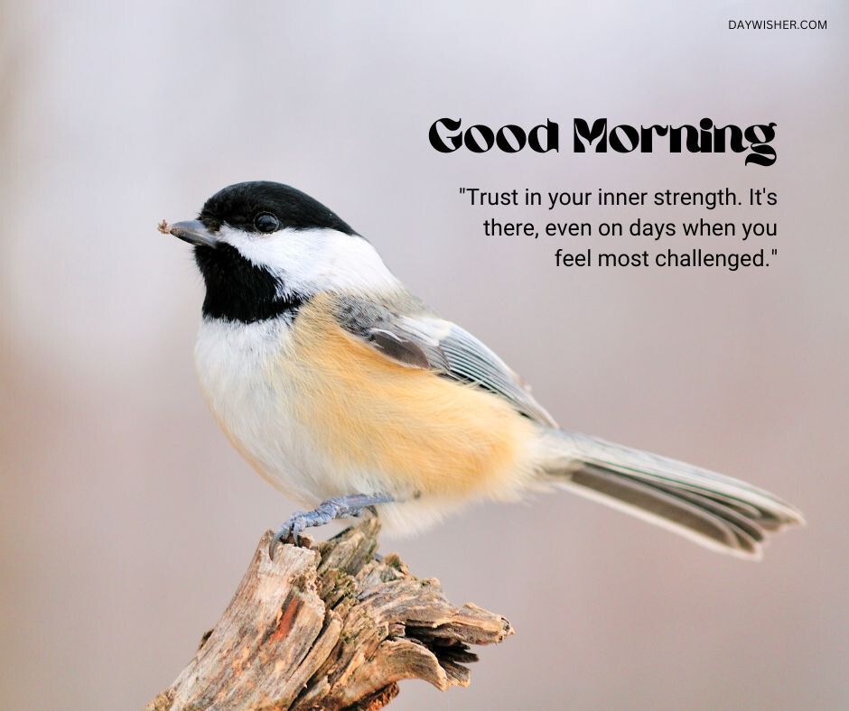 A close-up of a black-capped chickadee perched on a weathered branch, its detailed plumage in shades of black, white, and buff displayed against a soft blurred background, accompanied by the motivational text 'Good Morning - Trust in your inner strength. It's there, even on days when you feel most challenged.'