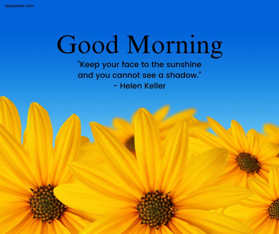 Bright yellow sunflowers in the foreground with a clear blue sky in the background, accompanied by a motivational Good Morning quote from Helen Keller.