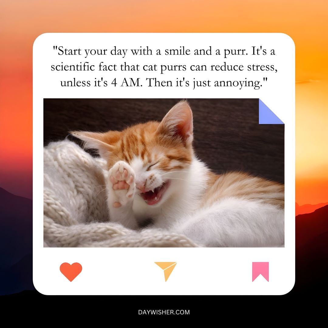 A ginger and white cat yawning or laughing, resting inside a cozy, knitted blanket with the quote: "Start your day with a smile and a purr. It's a scientific fact that