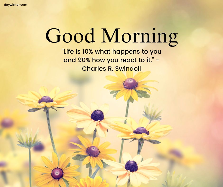 A cheerful image featuring a field of vibrant yellow daisies against a blurred green and yellow background, with the text "Good Morning Images with Positive Words" and a motivational quote by Charles R. Sw