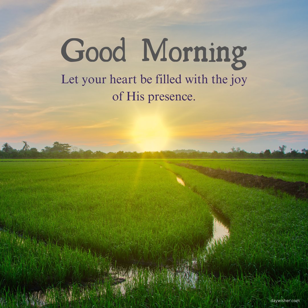 A serene image of a lush green field at sunrise, with the sun casting a golden glow over the landscape. The text reads "Good Morning. Let your heart be filled with the joy of His presence." This beautiful and inspirational good morning blessing is perfect for sharing a message of divine joy and presence.