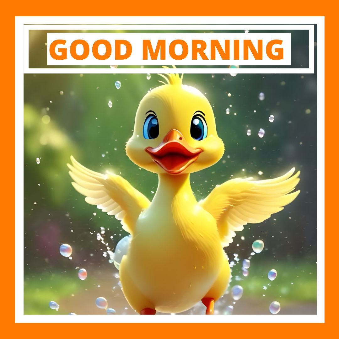 A cheerful cartoon duck with outstretched wings stands against a rain-speckled window, beneath the bold text "good morning" framed in orange.