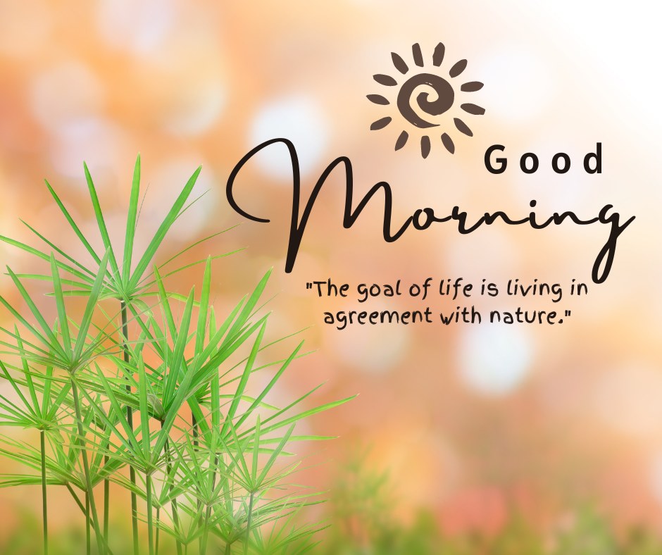 A tranquil good morning image featuring green palm-like plants against a softly blurred background of warm orange and yellow hues. The text "Good Morning" is artistically written in black, with a sun illustration above it. Below, a quote reads, "The goal of life is living in agreement with nature." The overall scene evokes a sense of harmony and peacefulness, perfect for a nature-inspired morning greeting.