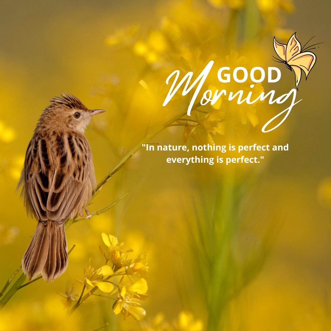 A serene good morning image featuring a small brown bird perched on a yellow flower stem in a field of vibrant yellow blossoms. The text "Good Morning" is elegantly written in white with a butterfly illustration, accompanied by the quote "In nature, nothing is perfect and everything is perfect." The background is a soft blur of yellow flowers, creating a peaceful and uplifting nature scene.