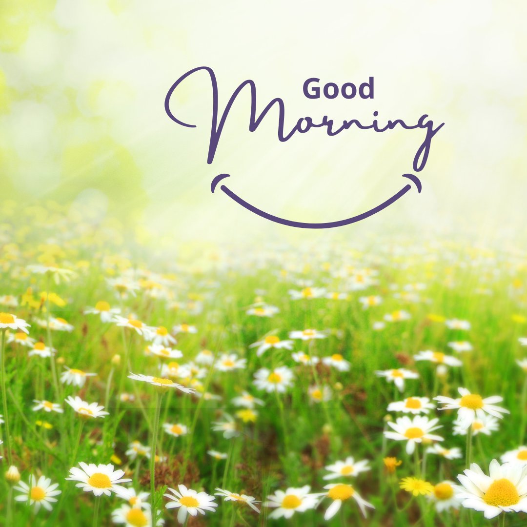 A bright and cheerful field of daisies bathed in morning sunlight, with the text "Good Morning" and a smiley face incorporated into the design. Perfect for good morning nature images, HD quality, and beautiful landscapes to start the day with positivity and joy.