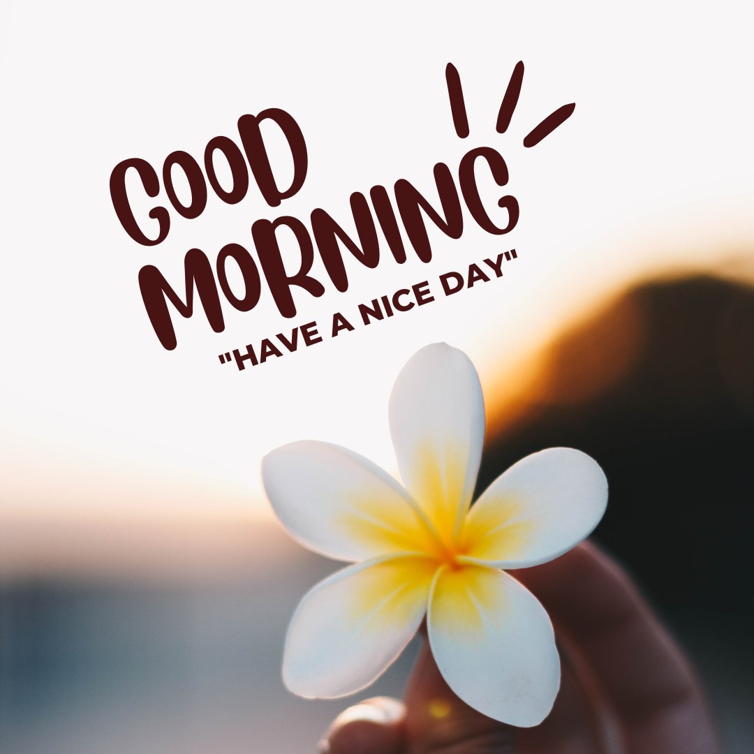 A hand holding a white and yellow flower with the text "Good Morning" and "Have a Nice Day." The soft, blurred background highlights the beauty of the flower, making it perfect for good morning nature images, HD quality, and inspirational quotes to start the day on a positive note.