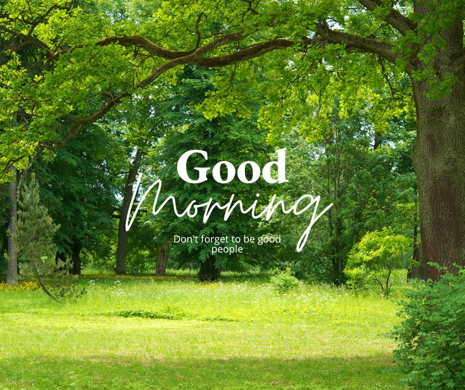 A lush green forest with sunlight filtering through the trees, featuring the text "Good Morning" and the quote "Don't forget to be good people." Ideal for good morning nature images, HD quality, and inspirational quotes to encourage positivity and mindfulness.