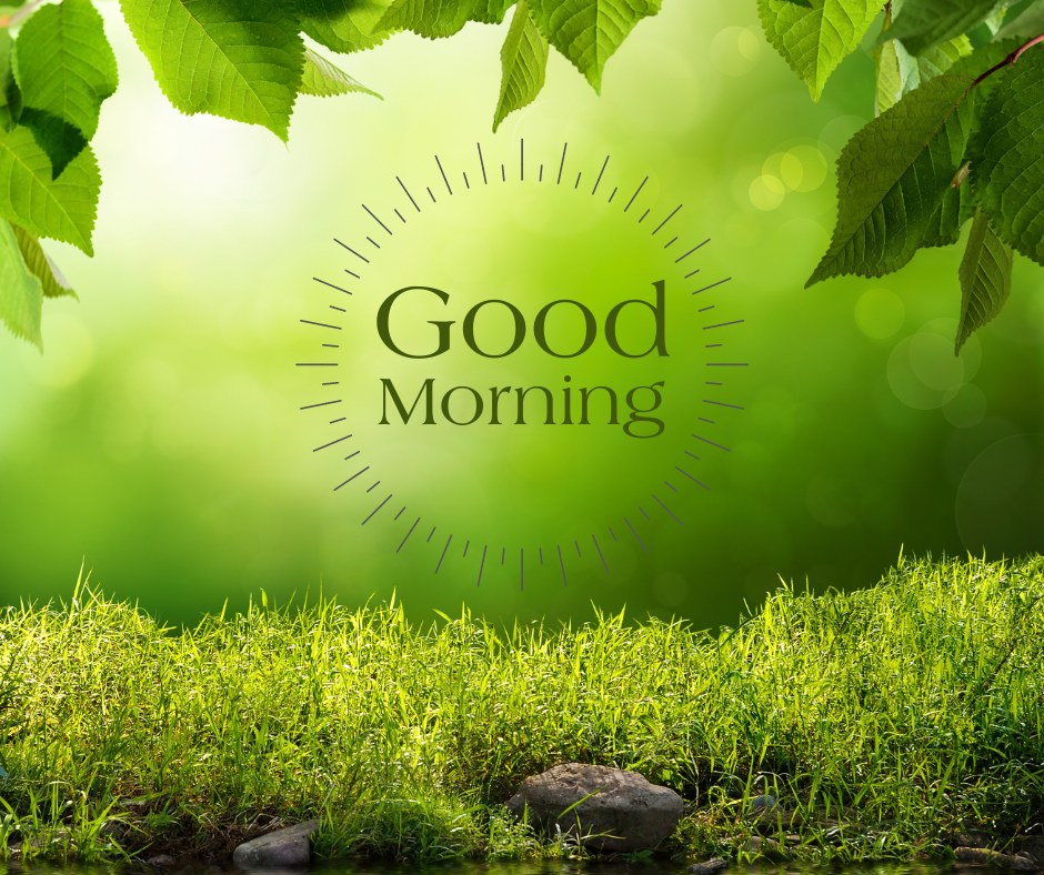 A refreshing morning scene with lush green grass, rocks, and overhanging tree leaves, featuring the text "Good Morning" in the center. The vibrant greenery and natural light create a peaceful and uplifting start to the day. Ideal for good morning nature images, HD quality, and beautiful landscapes to inspire serenity and positivity.