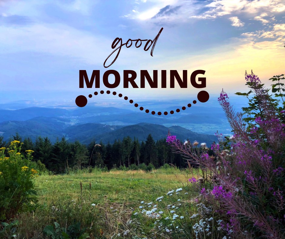 A picturesque good morning image featuring a scenic landscape with lush green hills, dense forests, and a clear blue sky at sunrise. Wildflowers in the foreground add vibrant colors, enhancing the natural beauty. The text "Good Morning" is artistically placed in the center with decorative elements. This image captures the peaceful essence of nature, ideal for a refreshing morning greeting.
