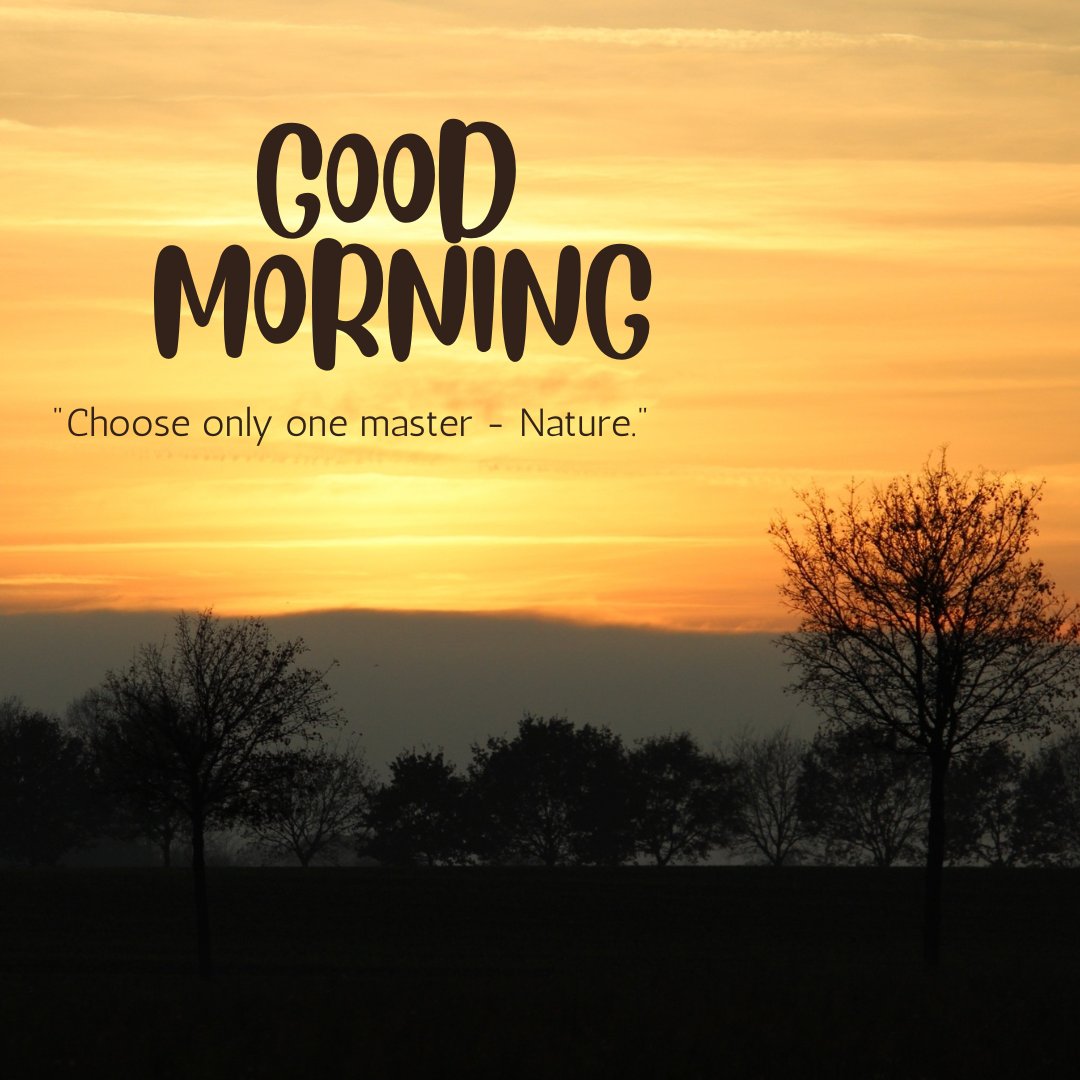 A tranquil sunrise with silhouetted trees and the text "Good Morning. Choose only one master - Nature." The sky glows with shades of yellow and orange, casting a peaceful light over the landscape. This image is perfect for good morning nature images, beautiful good morning nature images, and good morning nature images with quotes.