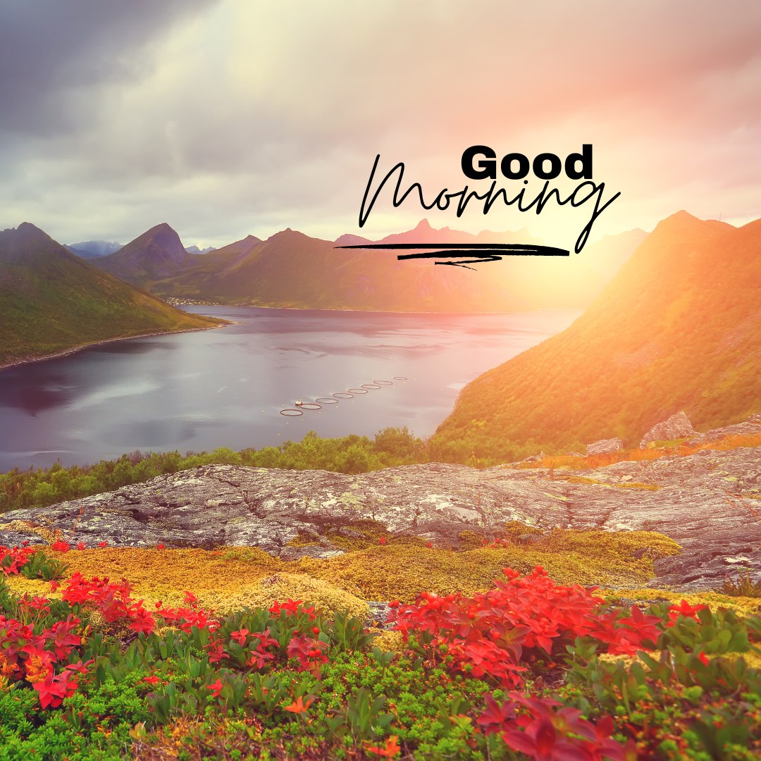 A stunning sunrise over a serene mountain lake, with vibrant red flowers in the foreground and lush green hills surrounding the water. The image features the text "Good Morning," creating a peaceful and inspiring start to the day. Perfect for good morning nature images, HD quality, and beautiful landscapes.