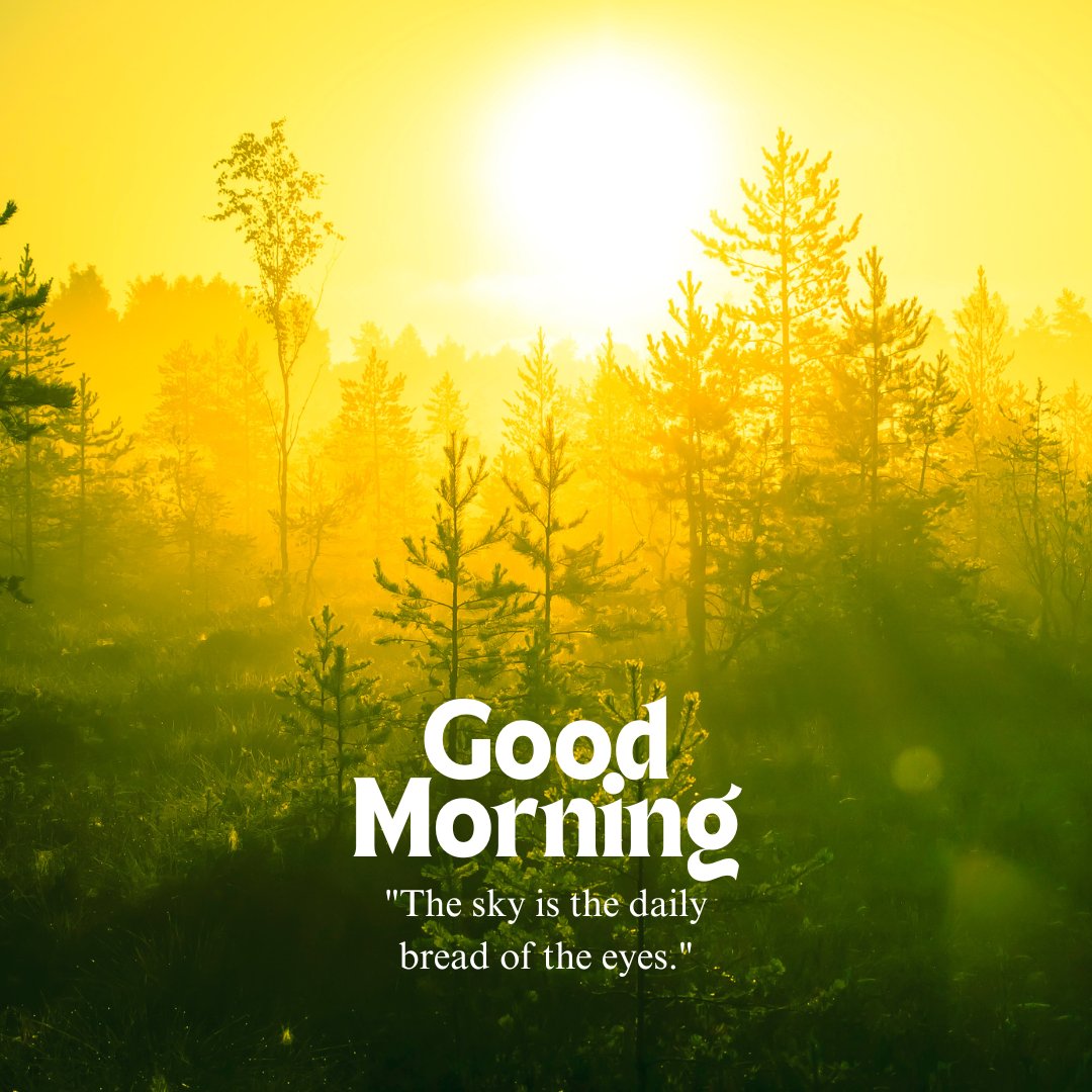 A serene good morning image featuring a sunlit forest with trees bathed in golden light. The bright yellow sky illuminates the scene, casting a warm glow over the landscape. The text "Good Morning" is written in bold white font, accompanied by the quote "The sky is the daily bread of the eyes." This image captures the peaceful beauty of a sunrise in nature, perfect for an uplifting morning greeting.