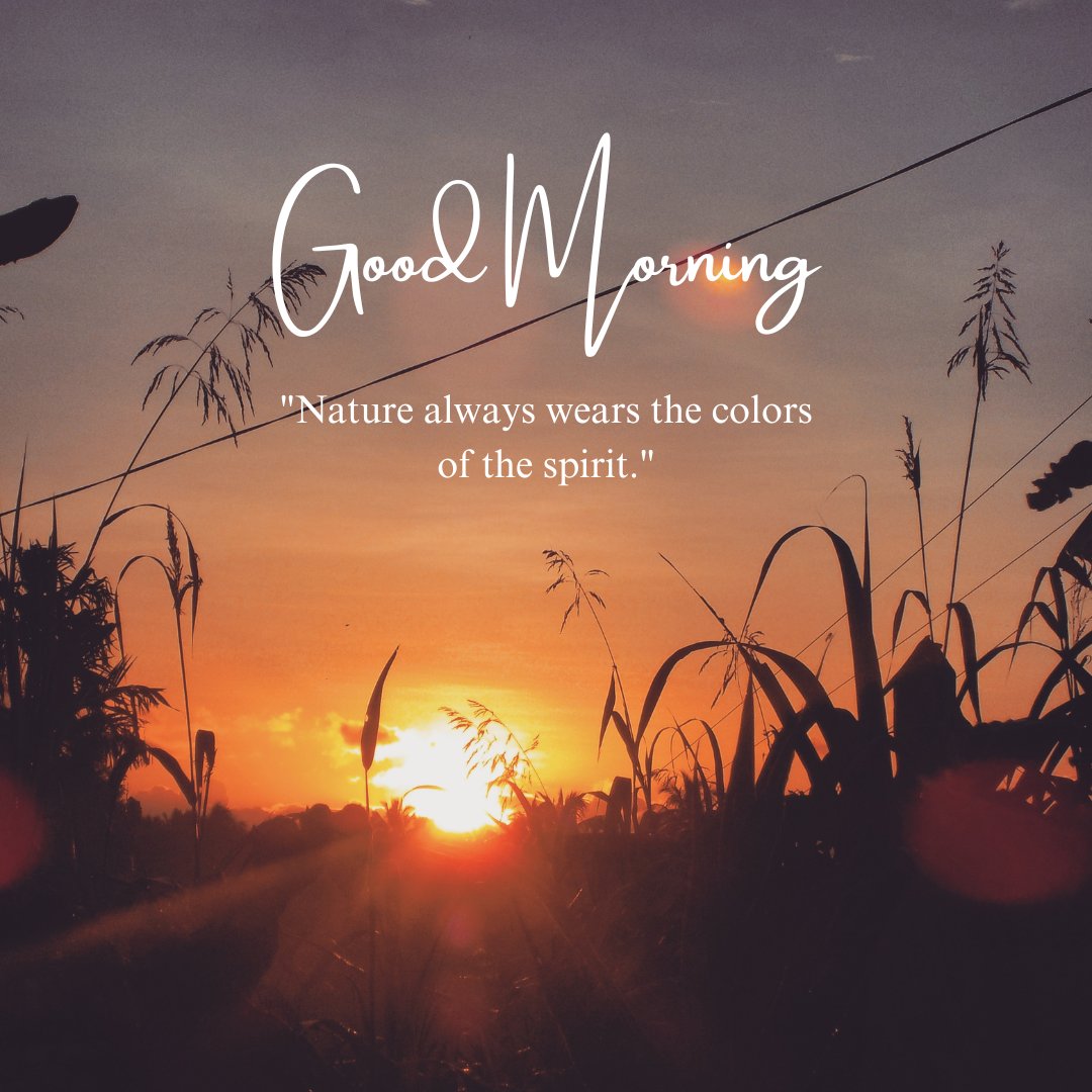 A beautiful sunrise with silhouettes of plants and trees, accompanied by the text "Good Morning" and the quote "Nature always wears the colors of the spirit." Perfect for good morning nature images, HD quality, and inspirational quotes to start the day with a touch of nature's beauty and wisdom.