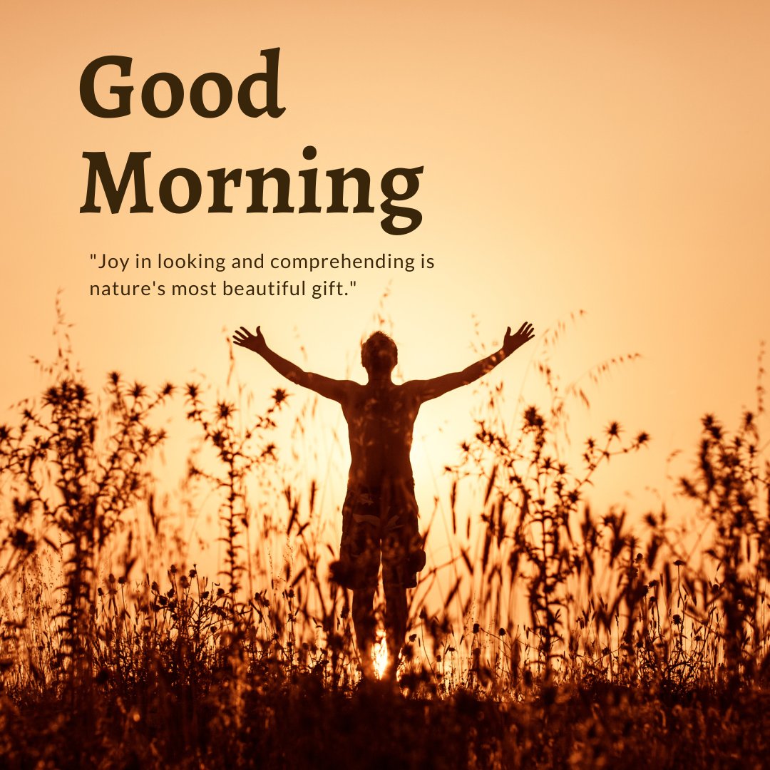 A serene good morning image featuring a silhouette of a person standing with arms outstretched amidst tall grass and wildflowers at sunrise. The sky is bathed in warm orange and yellow tones, creating a peaceful and inspiring scene. The text "Good Morning" is written in bold font, accompanied by the quote "Joy in looking and comprehending is nature's most beautiful gift." This image captures the beauty and tranquility of nature, perfect for an uplifting morning greeting.