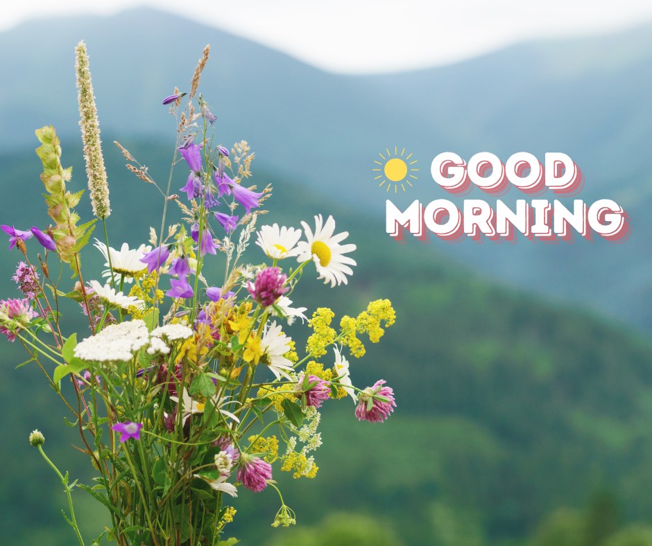 A vibrant good morning image featuring a bouquet of colorful wildflowers, including daisies and purple blooms, set against a backdrop of lush green mountains. The text "Good Morning" is written in a cheerful font with a sun illustration. This image captures the freshness and beauty of nature, perfect for a bright and uplifting morning greeting.
