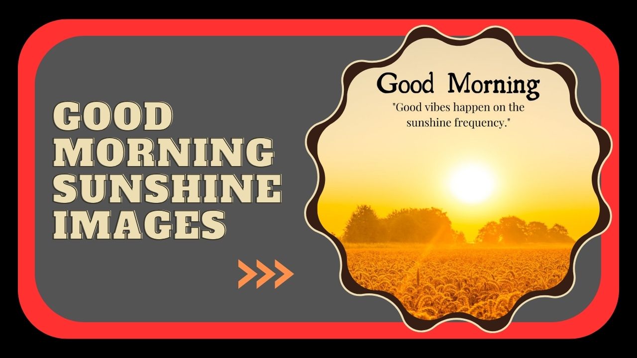 Good Morning Sunshine Images hd
