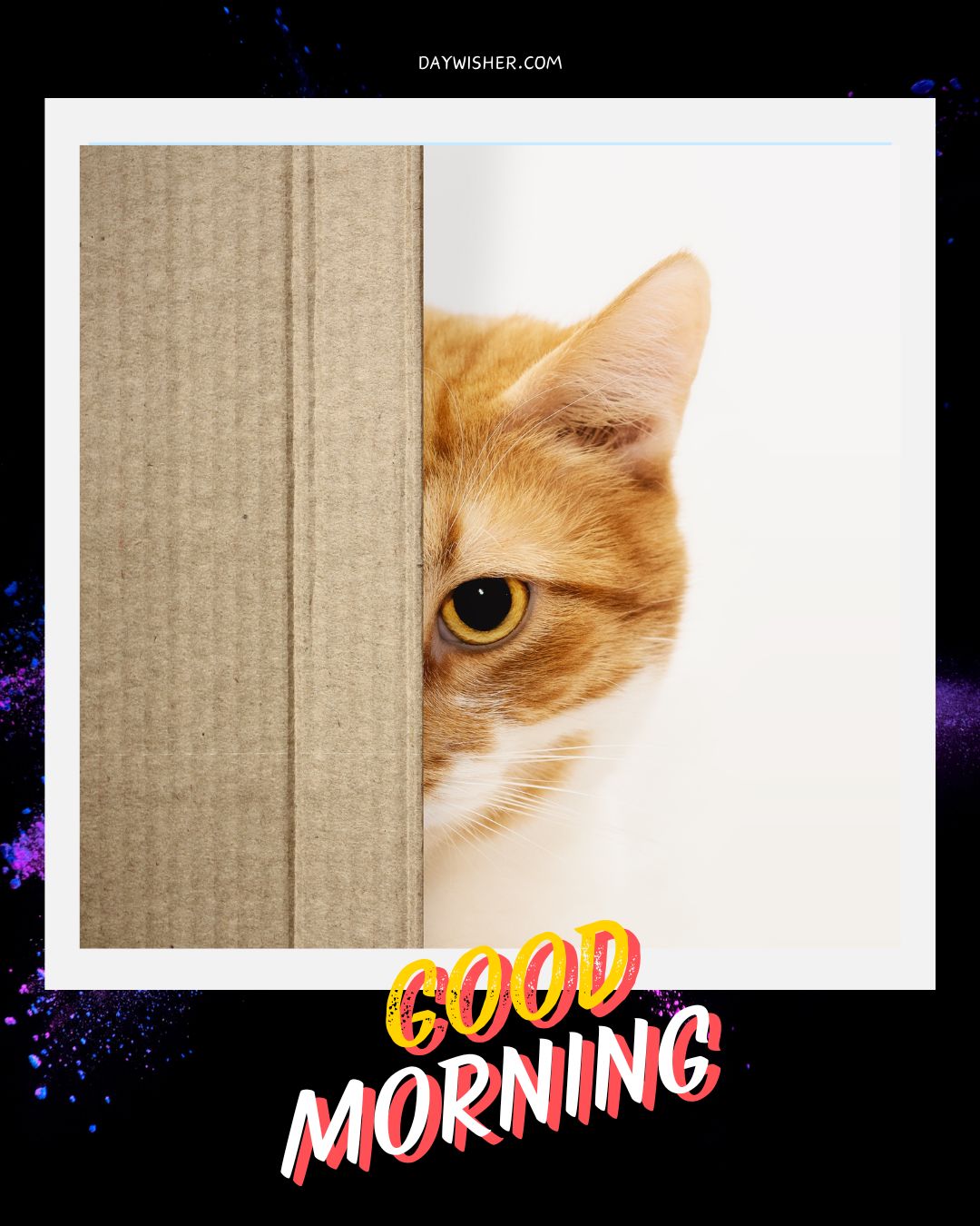 A playful image featuring a ginger cat peeking from behind a cardboard divider. Only one eye and half of its face are visible, creating a curious and engaging expression. The background has a celestial theme, and the word "GOOD" is written in vibrant, multicolored letters, contributing to a lighthearted and cheerful "Good Morning" message.