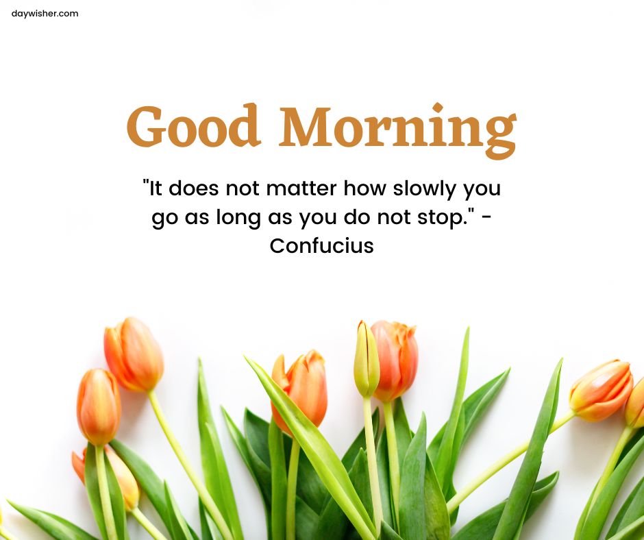 Image of tulips with a quote on top saying "Good Morning - 'It does not matter how slowly you go as long as you do not stop.' - Confucius" on a white background