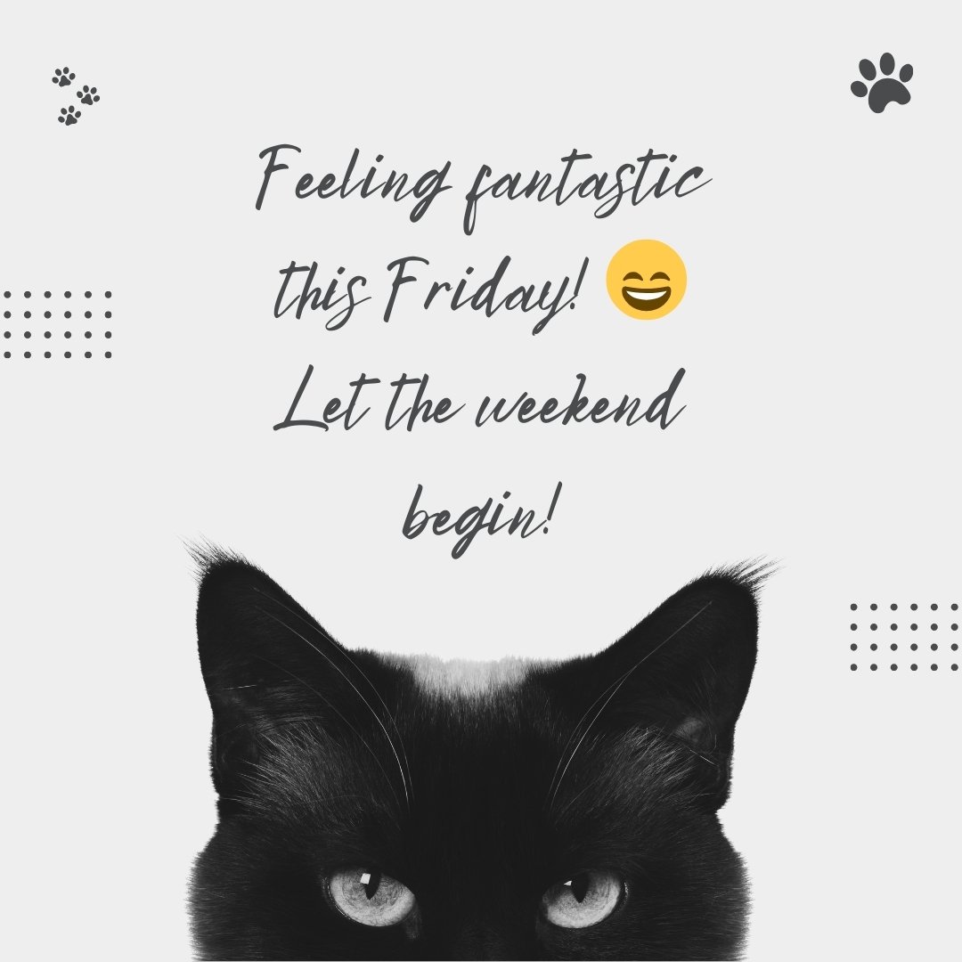 Short and Captivating Friday Captions featuring a close-up of a black cat with expressive eyes, paired with a playful message about feeling fantastic this Friday and starting the weekend.
