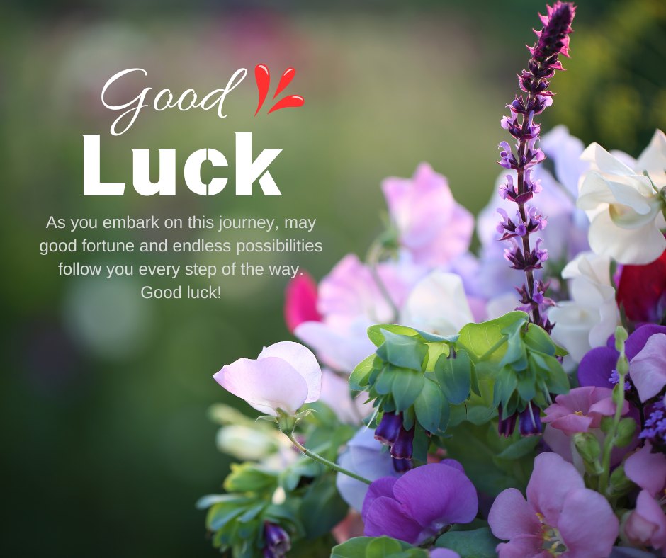 Assorted vibrant garden flowers in shades of purple, pink, and white, beautifully captured in a natural setting with a message 'Good Luck' in elegant script. As you embark on this journey, may good fortune and endless possibilities follow you every step of the way. Perfect for sending good luck wishes on a new journey.