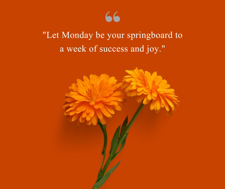 Two vibrant orange flowers with a positive inspirational Monday quote: 'Let Monday be your springboard to a week of success and joy.'