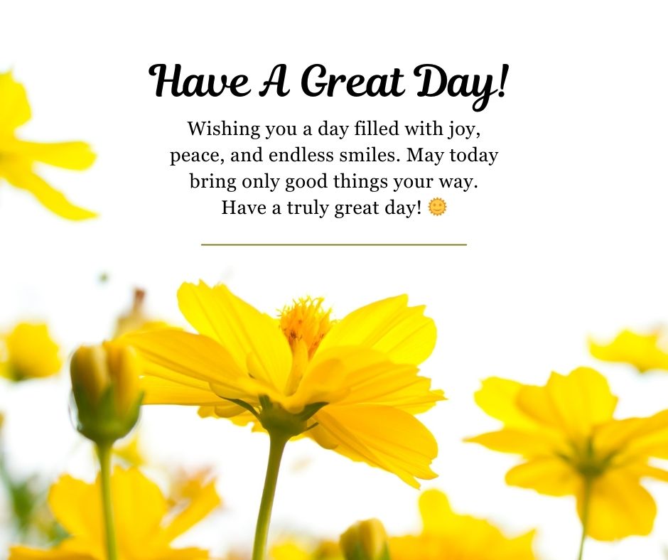 Have a Great Day Wishes to Cheer a Person Up