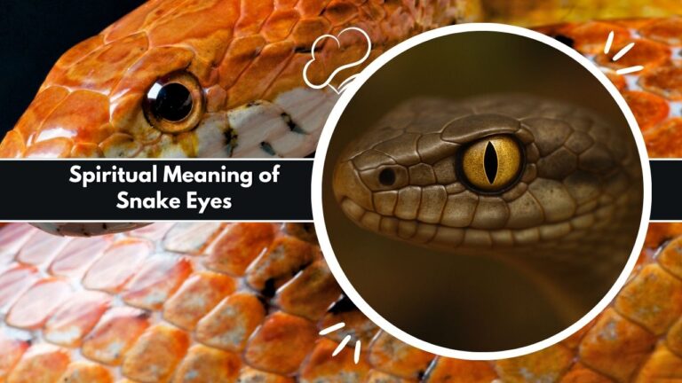 What It Means Spiritually When You See Snake Eyes