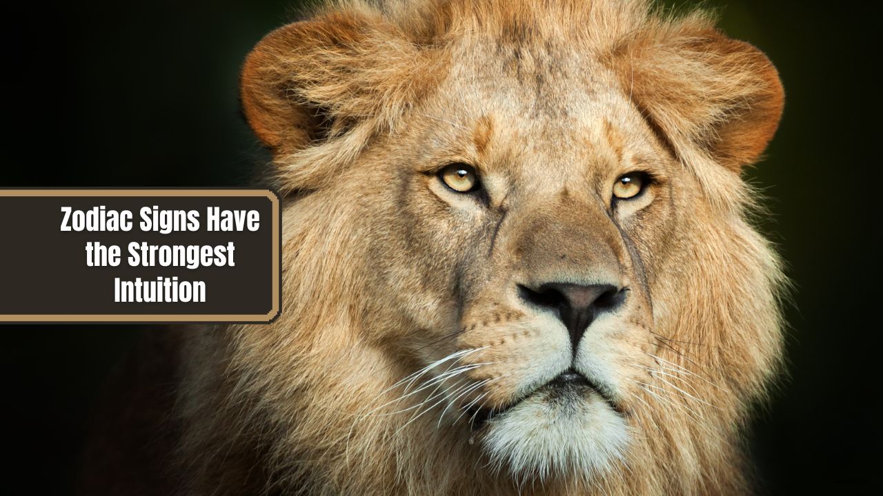 Zodiac Signs Have the Strongest Intuition
