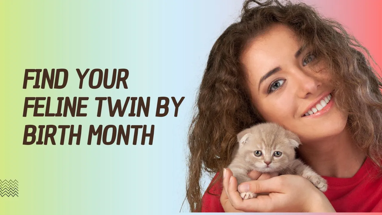 Find Your Feline Twin by Birth Month